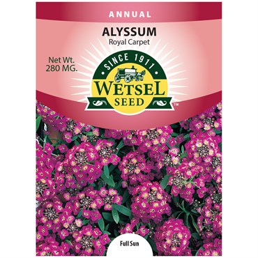 ALYSSUM, ROYAL CARPET 280 MG