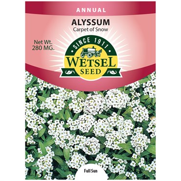 ALYSSUM, CARPET OF SNOW 280 MG