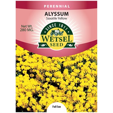 ALYSSUM, SAXATILE YELLO 280 MG