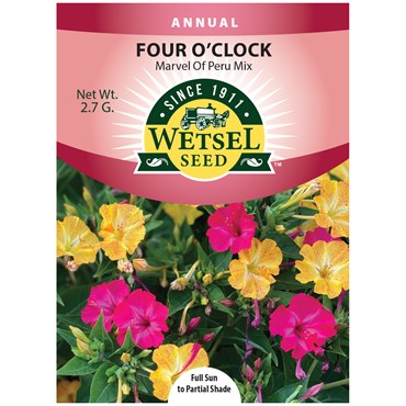 FOUR O'CLOCK MARVEL PERU 2.7 G
