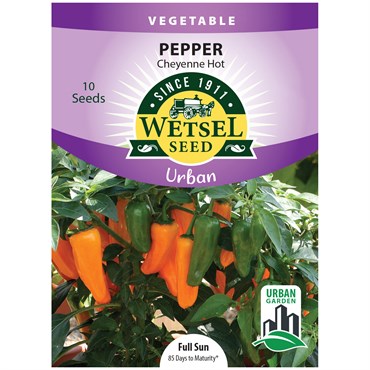 Pepper, Cheyenne Hot (patio) - 10 Seeds