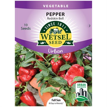 Pepper, Redskin Bell (patio) - 10 Seeds