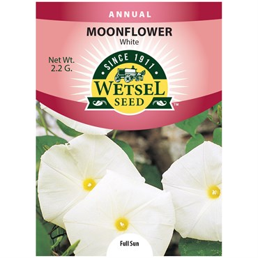 MOON FLOWER (WHITE) 2.2 G