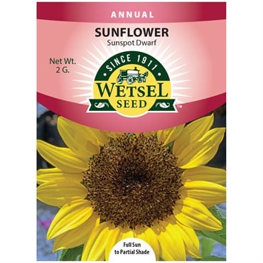 Sunflower, Sunspot Dwarf - 2 Gram