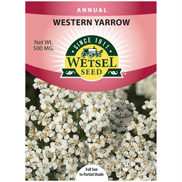 WESTERN YARROW - 500 MG
