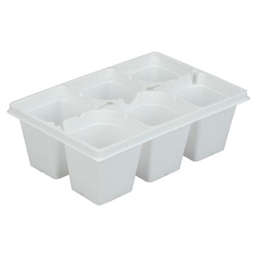DLN T306BP (ACH) TRUE 6 CELL BSKT PACK WHT 300/CS