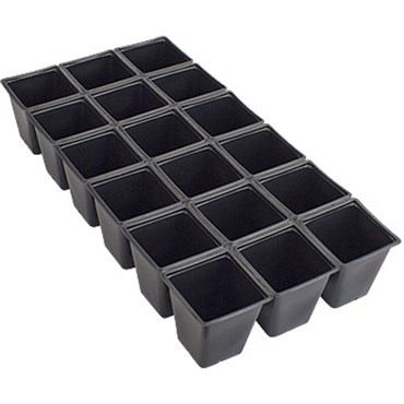 DLN TPS1801 TRUE PEREN SHT-O-POTS CUT 3.25IN100/CS