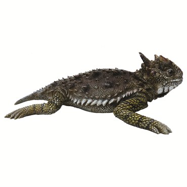 MCarr Large Horned Toad Resin Statue