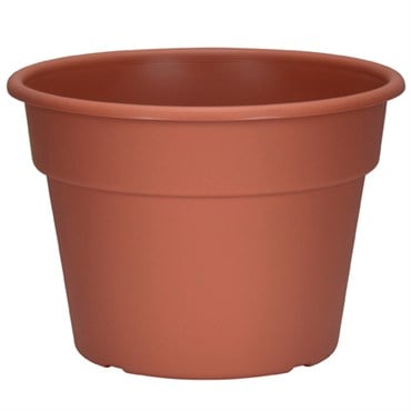 DLN 10.00 COLOR POT 1 CL 58/CS 32CS/PL