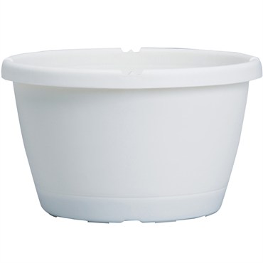 DLN 12.00 TRAD SL HB NO HGR WHT 50/CS 28CS/PL
