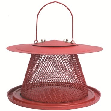 NoNo Red Cardinal Feeder
