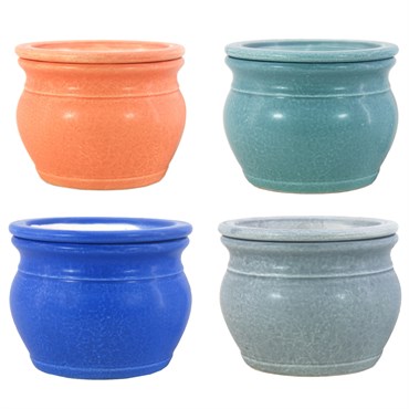 MCarr 4PC 8" Self Water Round Pot Asst
