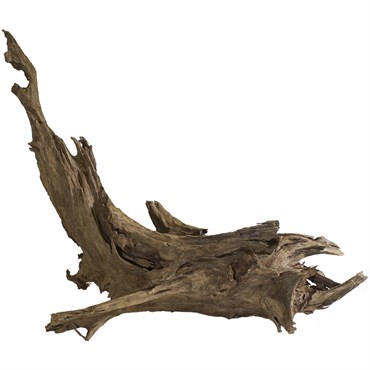 SuperMoss 11" to 13" Malaysian Driftwood