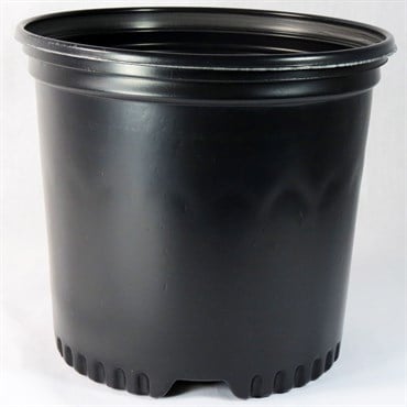 NS PF400CU, TRADE SIZE TRUE 1 GALLON, 1 GALLON, BLACK 85/BD 64/TOWER (7-1/2"X7-1/8"), 1Gallon