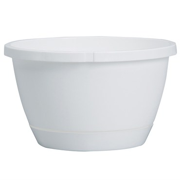 DLN 10.00 TRAD 2 WS HB NO HGR WHT 50/CS 36CS/PL