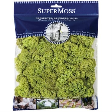 SuperMoss 120cu Bag Preserved Reindeer Moss Chartreuse