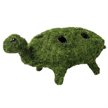 SuperMoss Turtle Planter