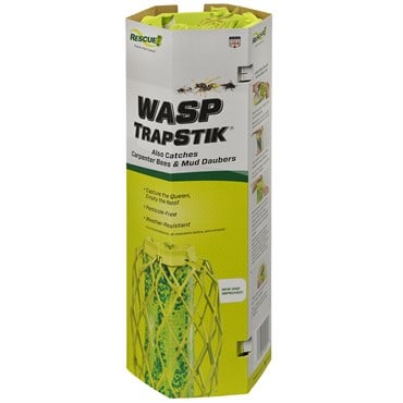 Rescue TrapStik For Wasps Bulk Box