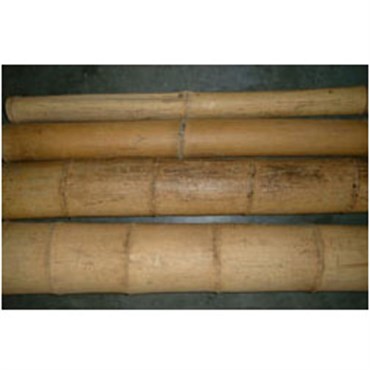 Bamboo Supply 10' x 5" Bamboo Pole Natural 3/BD
