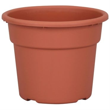 DLN 06.00 COLOR POT TL CL 98/CS SEASONAL 66CS/PL