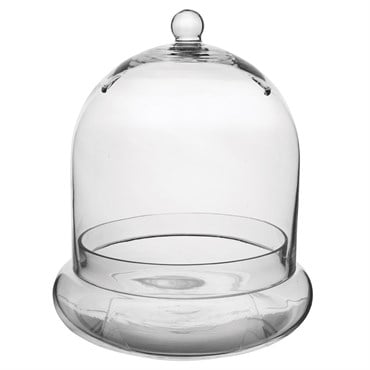 SSI 10" x 11 3/8" Terrarium Cloche