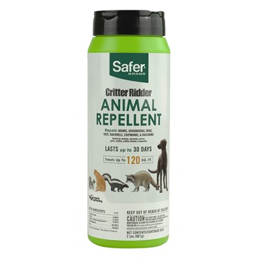 Safer 2