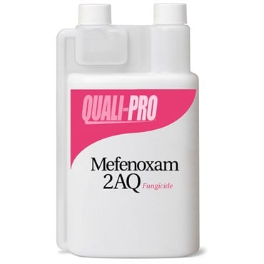Mefenoxam 2AQ Qt 4/CS