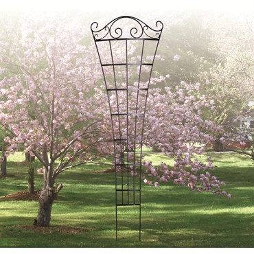 Panacea 84" Romantic Fan Curved Trellis Black