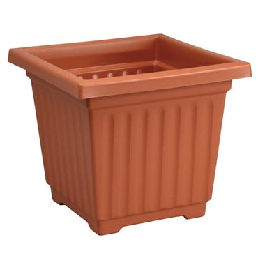 DLN 15.00 SQ COLOR PLNTR CL 10/CS 33CS/PL