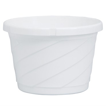 DLN 06.00 EURO SL HB NO HGR WHT 100/CS 60CS/PL