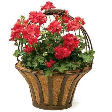 Deer Park Solera Basket With Coco Liner