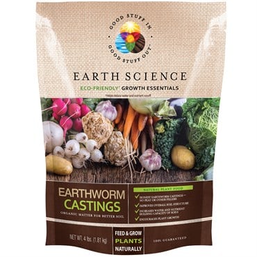 Earth Science 4