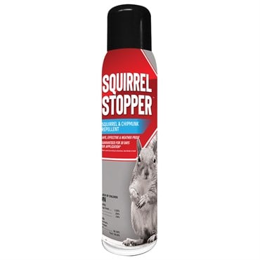 Squirrel Stopper 15oz Repellent Aerosol Sprayer Ready to Use