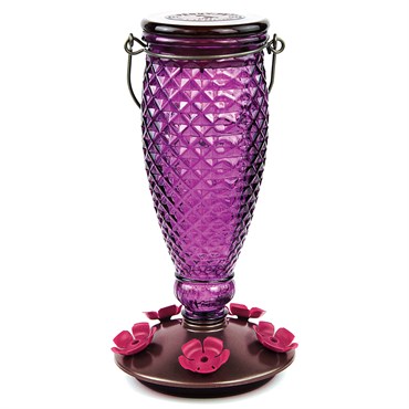 Perky Pet 24oz Glass Top Fill Hummingbird Feeder Diamond Wine