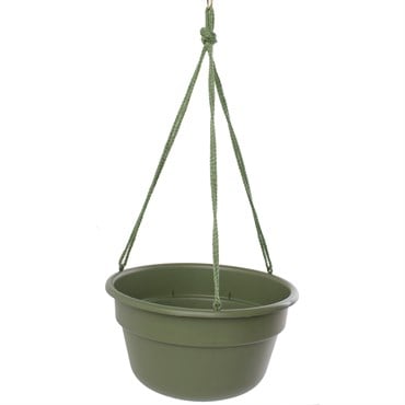 Bloem 12" Dura Cotta Hanging Basket Living Green