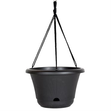 Bloem 13" Hanging Basket Black