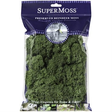 SuperMoss 2oz Reindeer Moss Basil