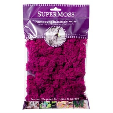 SuperMoss 2oz Reindeer Moss Fuchsia
