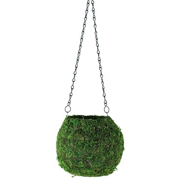 SSI 6" Kokedama Green Moss
