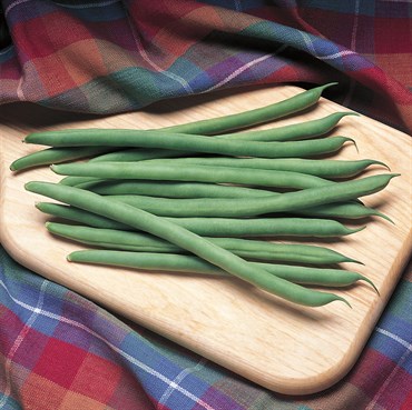 Beans, Kentucky Blue Pole - 1/2lb