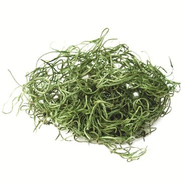 SuperMoss 32oz Spanish Moss Preserved Grass