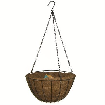 Panacea 14" Hanging Basket Green Growers