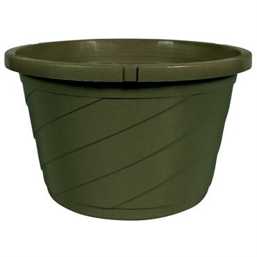 DLN 10.00 EURO SL TS HB NO HGR GREEN 50/CS 50CS/PL Cap dish Optional