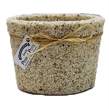 Exotic Pebbles Pots Alabaster 6" Cache