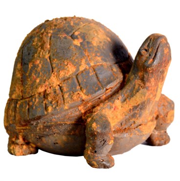 MCarr Liconfiber 10" Rusty Turtle