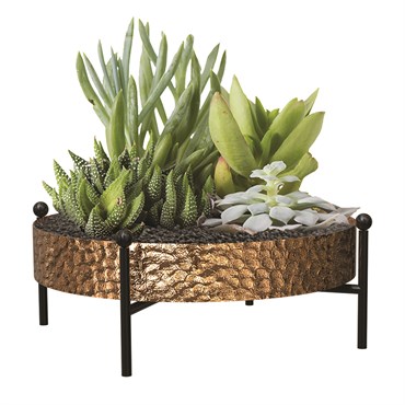 Panacea 10" Succulent Tray with Stand Hammered Copper Finsh
