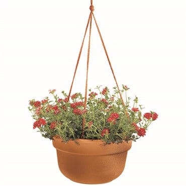 Bloem 12" Dura Cotta Hanging Basket Terra Cotta