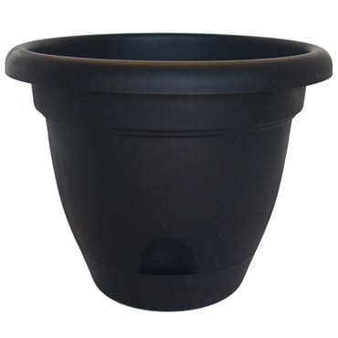 Bloem 12" Lucca Planter Black
