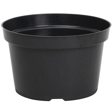 DLN 08.00X05.00 MUMPAN TW BLK 150/CS 50CS/PL