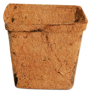 PlantBest 4.25" Sq Biodegradable Coconut Coir Pot - Bulk